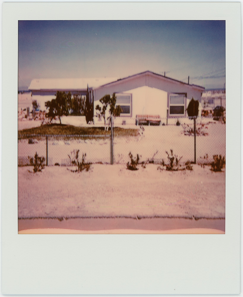 Polaroid 56